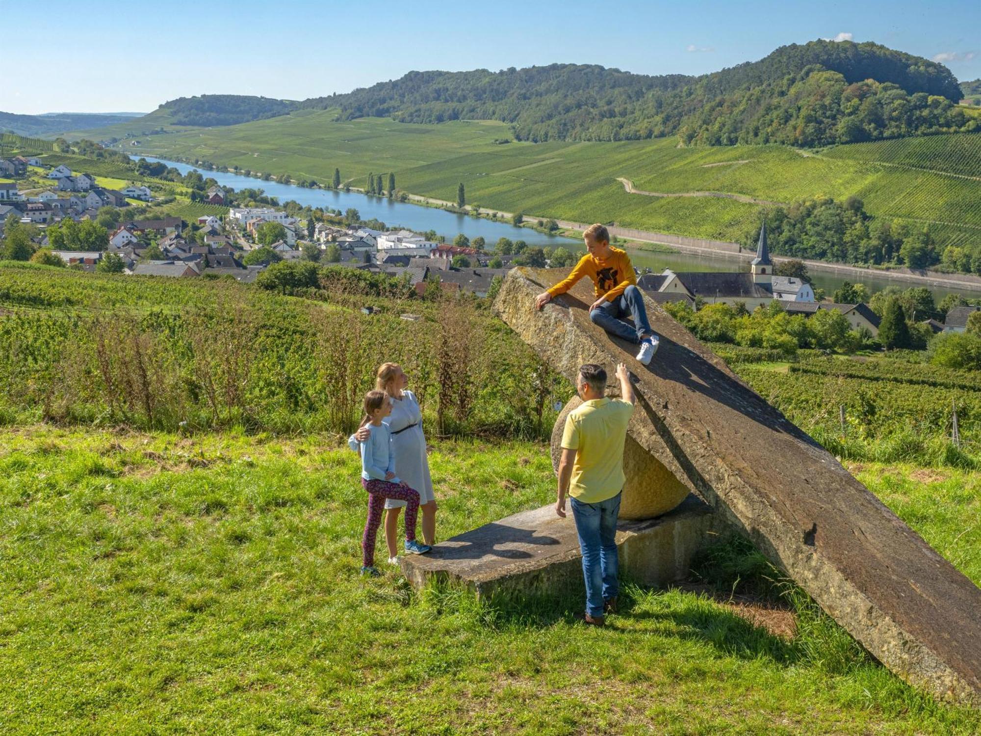 Appartements Im Weingut Frieden-Berg ニッテル エクステリア 写真